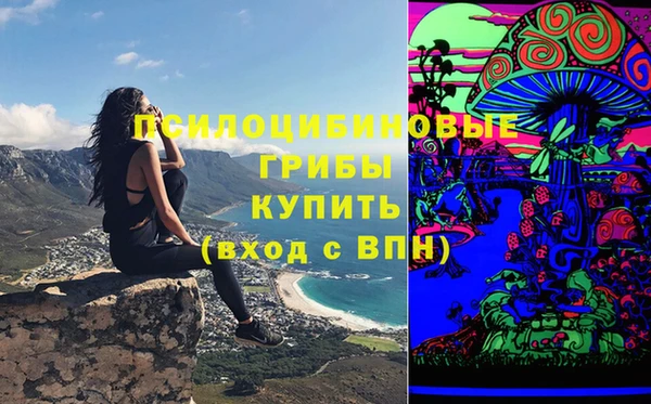 марки lsd Новозыбков